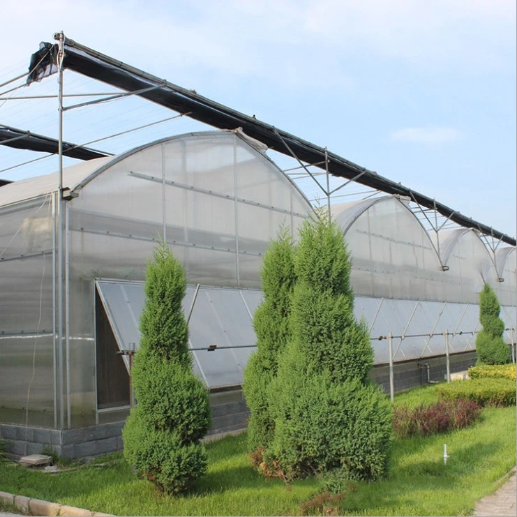 Hot DIP Galvanized Steel Structure Film Solar Greenhouse Garden House
