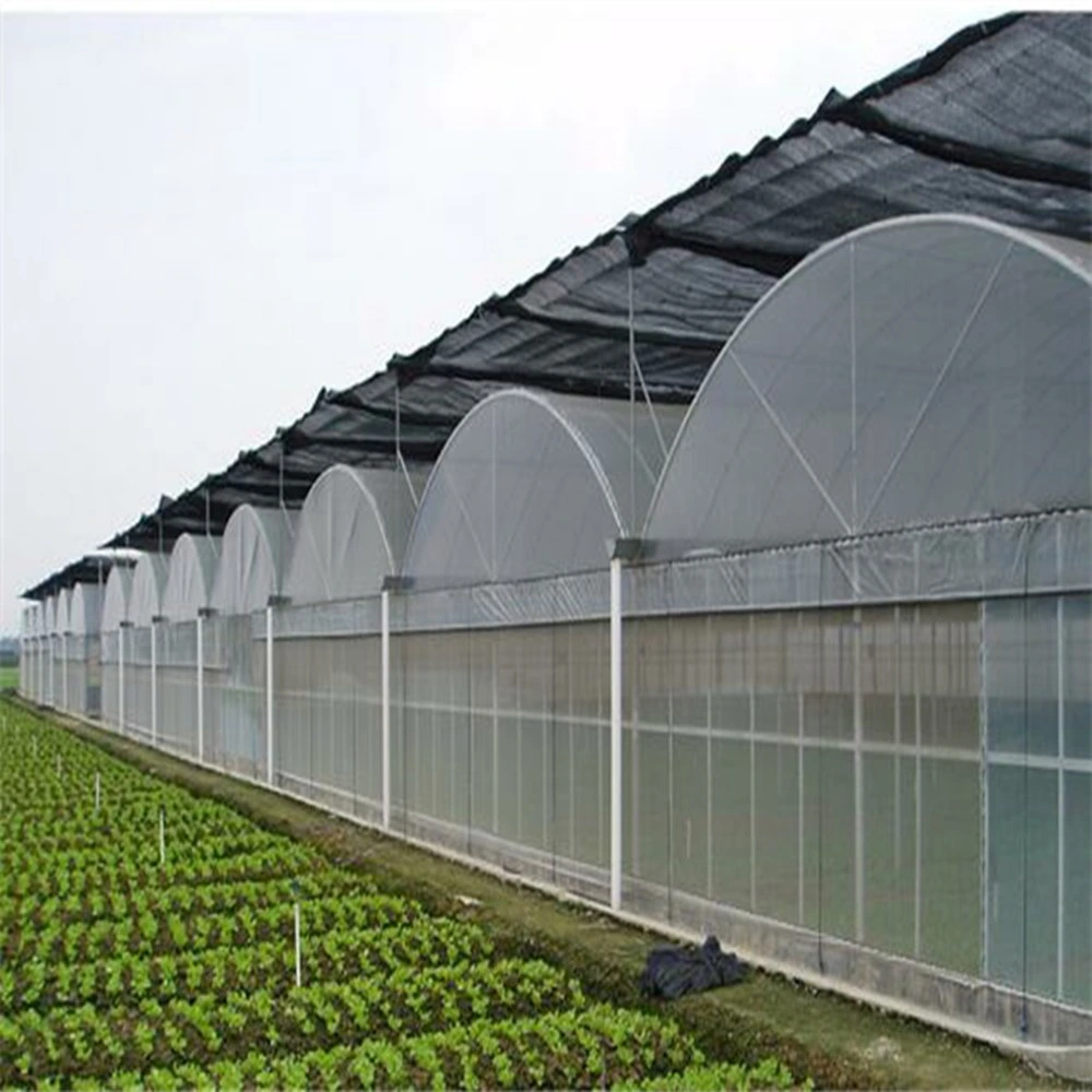 Hot DIP Galvanized Steel Structure Film Solar Greenhouse Garden House