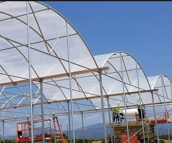 Agriculture Products Used Greenhouse for Tomato with Irrigation System