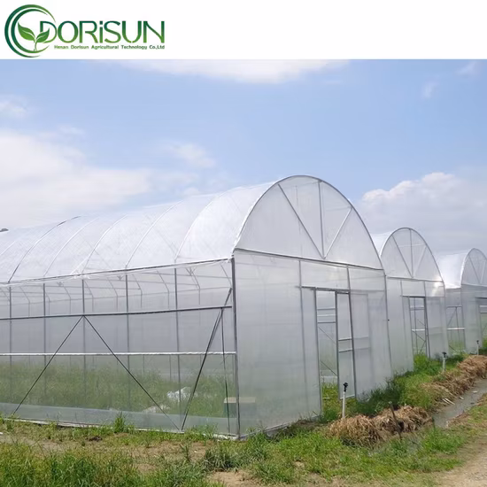 Agriculture Products Used Greenhouse for Tomato with Irrigation System