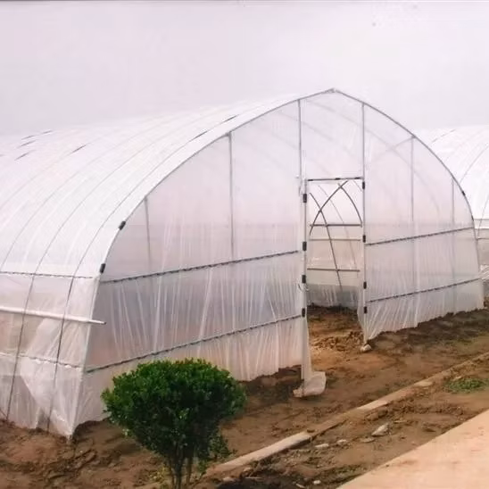 PE or Po Film/Plastic Multi Span Garden Products Flower House