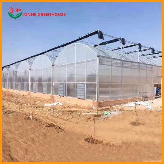 Stable Structure Film Greenhouse Garden House