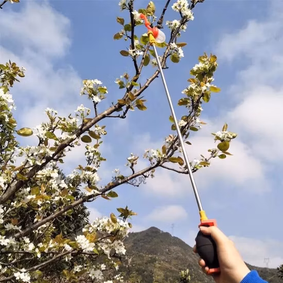 Manual Fruit Tree Pollination Tool Vegetable Pollinator