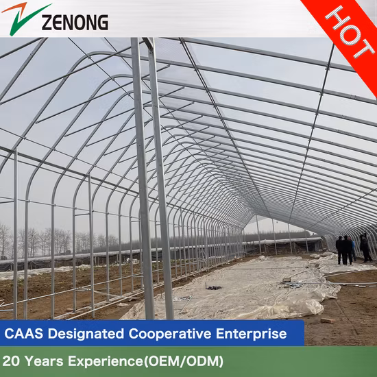 Hot DIP Galvanized Steel Structure Film Solar Greenhouse Garden House